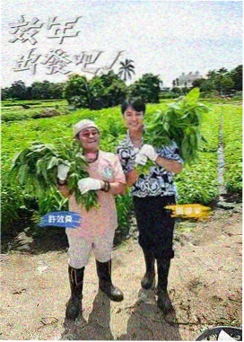体育晨报节目